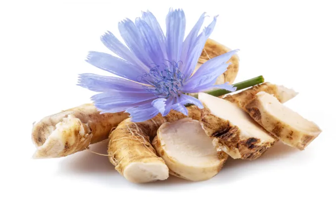 Chicory Root Inulin – EmaRelief prebiotic fiber ingredient