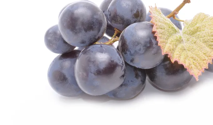 Resveratrol – EmaRelief antioxidant gut support ingredient