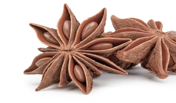 Star Anise – EmaRelief natural digestive relief ingredient